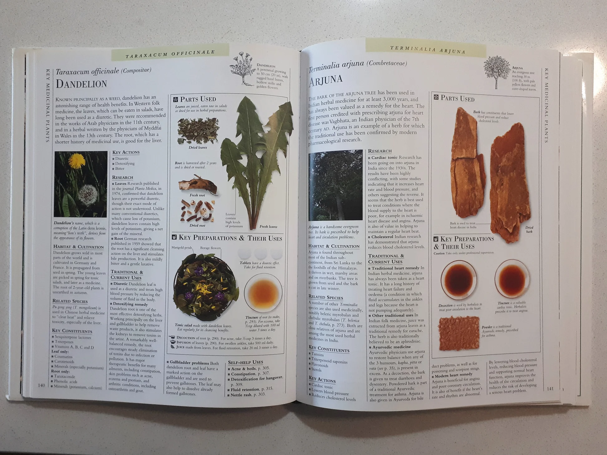 encyclopediaofherbalmedicine