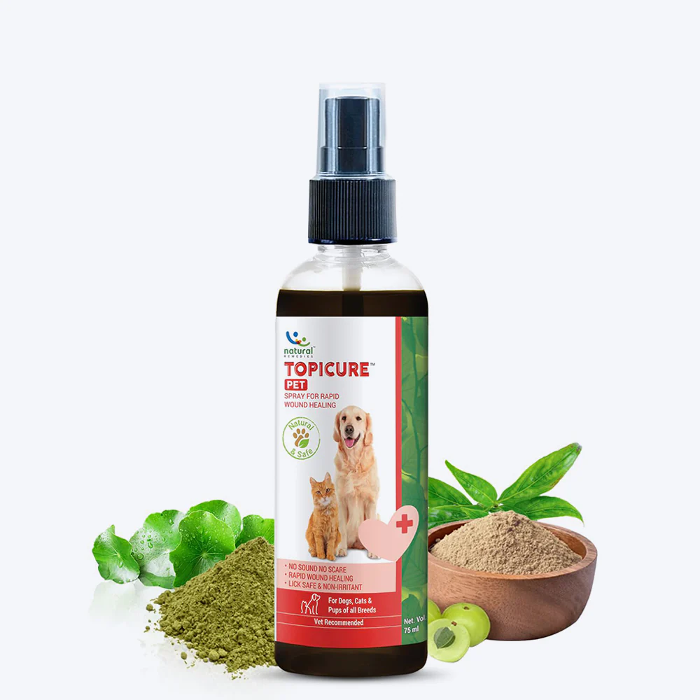 natural antibiotics fordogs
