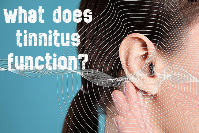 what does tinnitus function