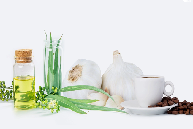 Asthma Home Remedies: Natural Ways to Ease Breathing and Reduce Symptoms