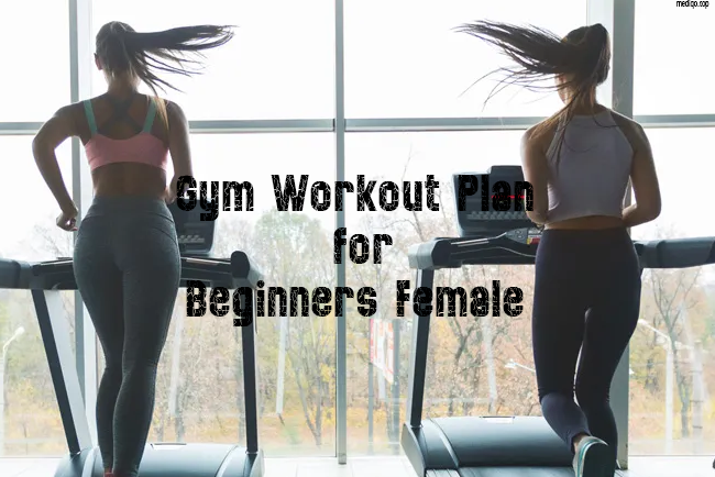 Gym Workout Plan for Beginners Female | Complete Guide to Start Strong