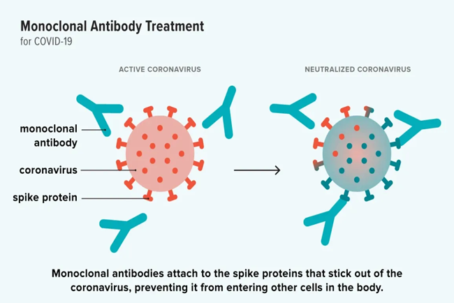how to get monoclonal