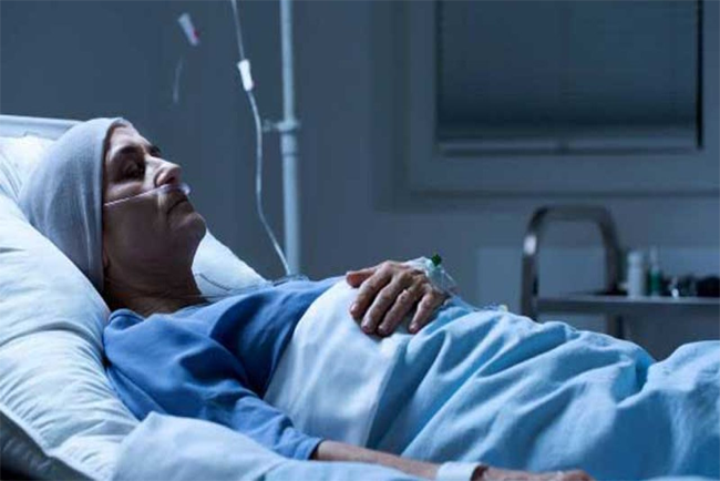 terminal illness meaning