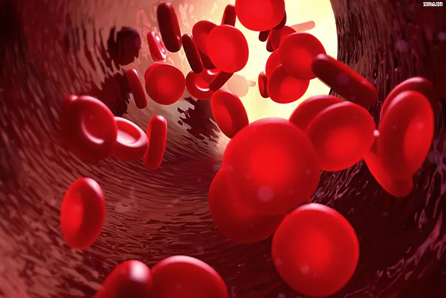 thalassemia symptoms