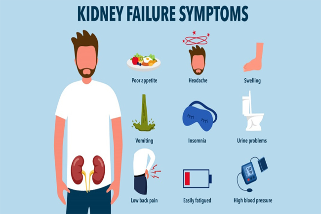 what is stage 3 kidney disease