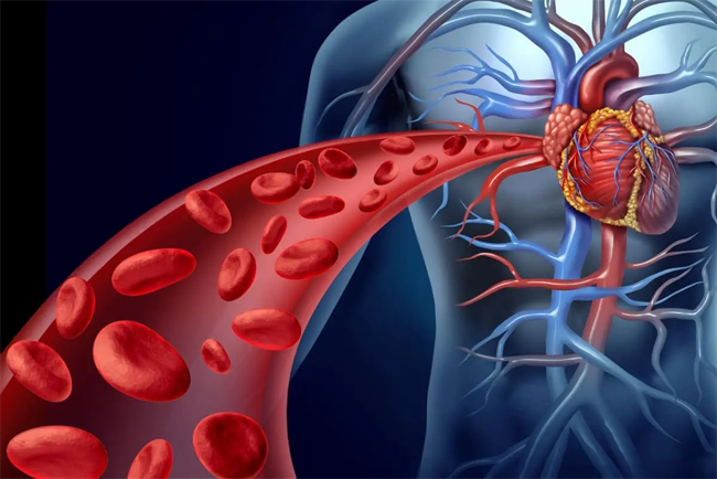 Disease Recovery Tips