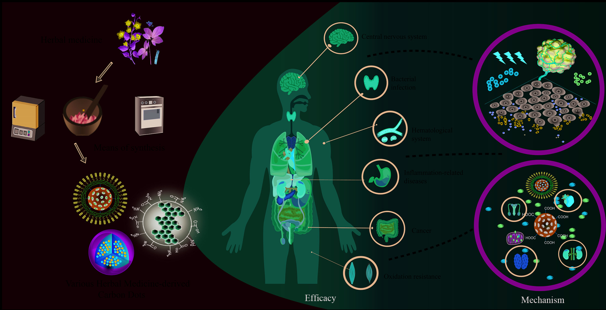 herbal medicine diseases
