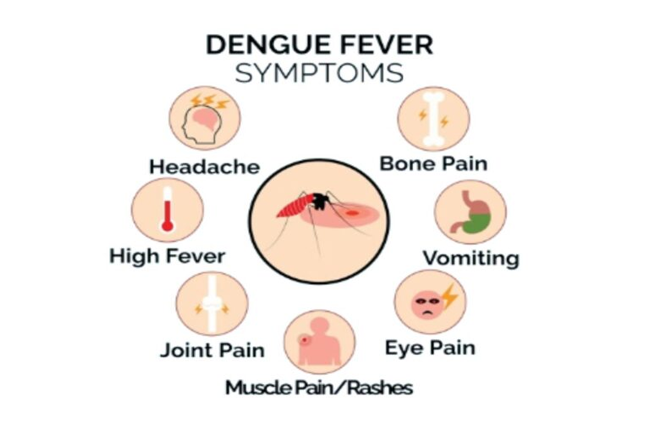 Dengue Fever
