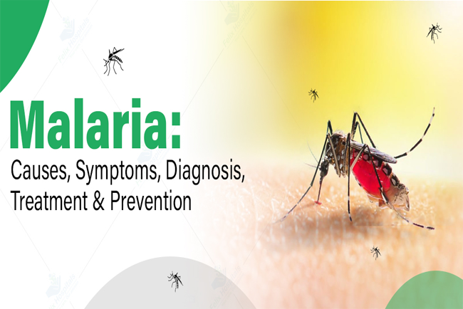 Malaria